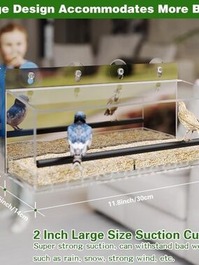 One Way Window Bird Feeder